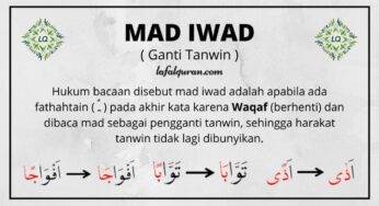 Mad iwad
